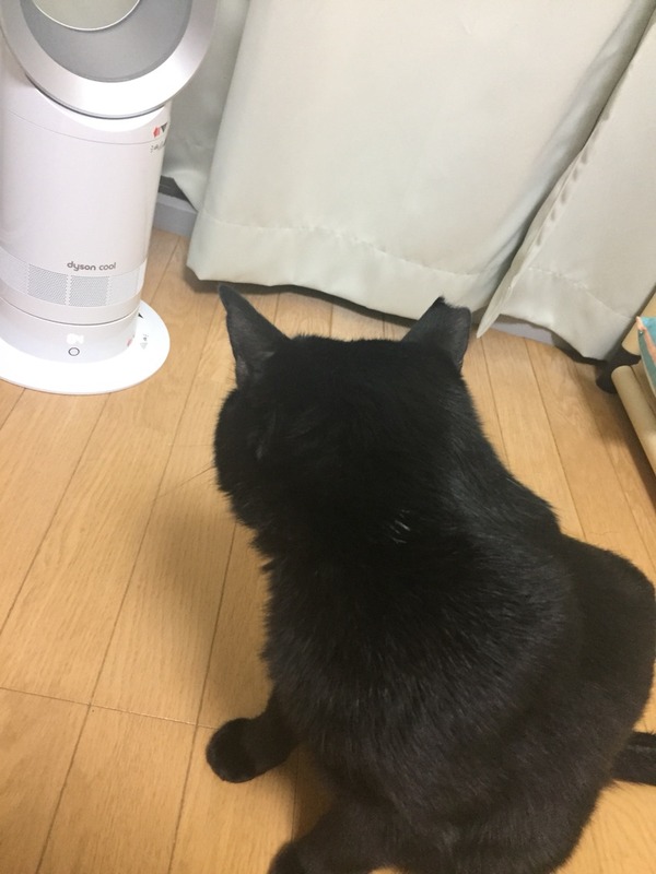何?