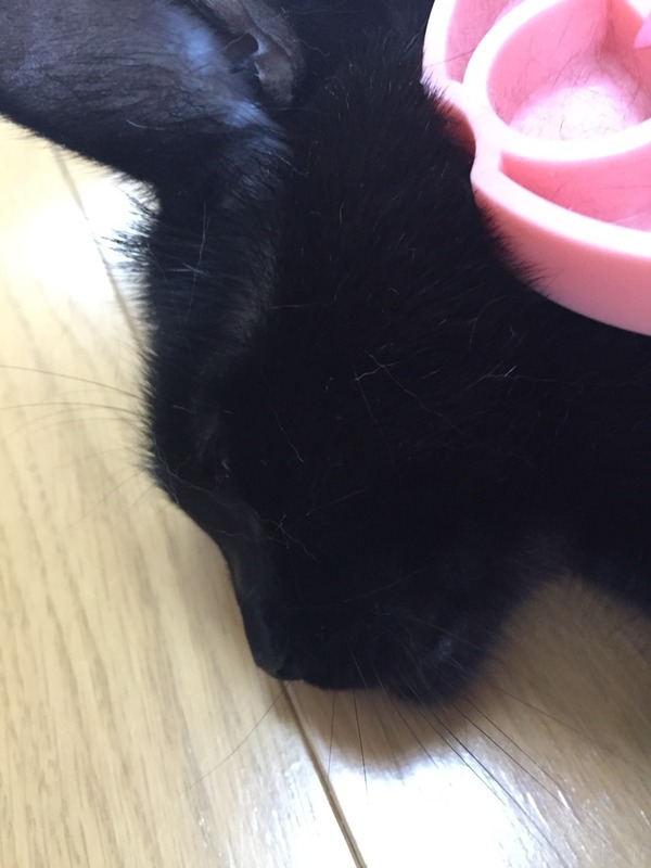 グルグル‼