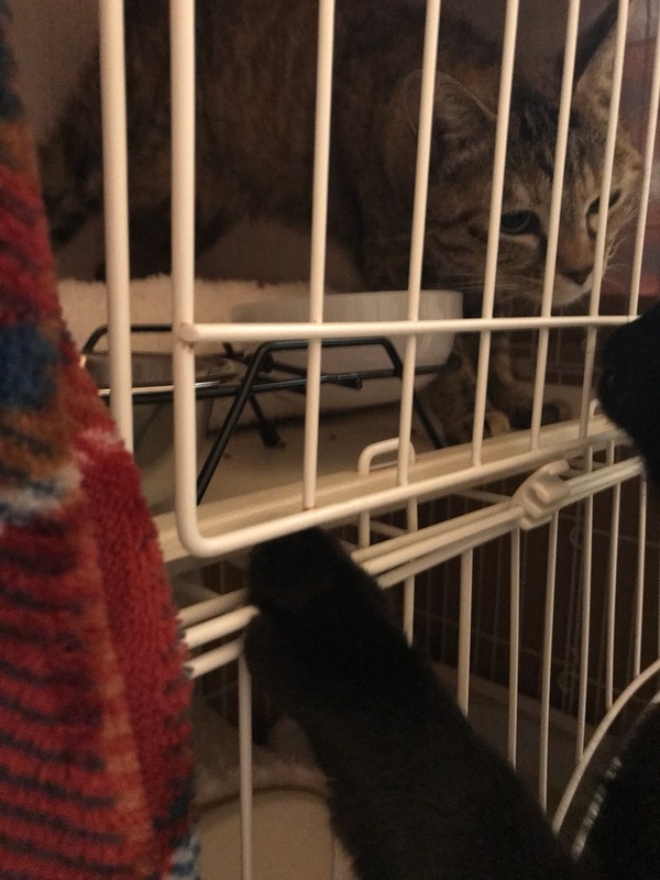 2017-11-29-19-15-28