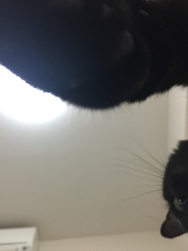 2016-04-10-23-54-04