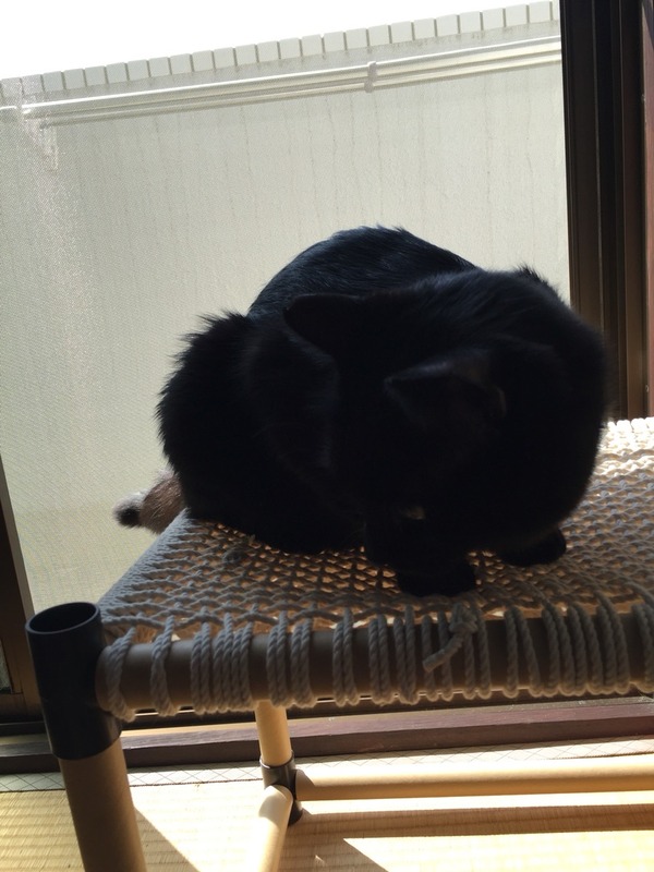 2016-03-29-10-11-04