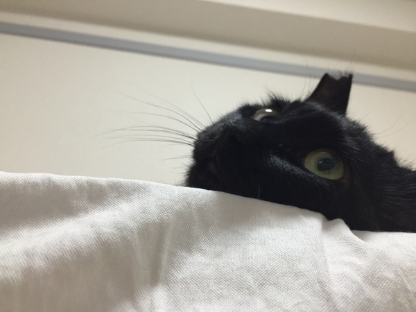 ご苦労様