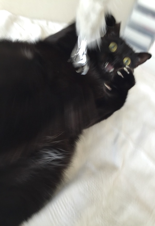 わぉ
