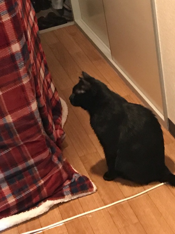 2017-11-25-08-53-36