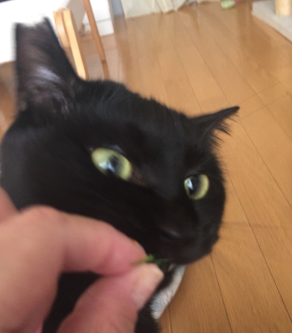 まって