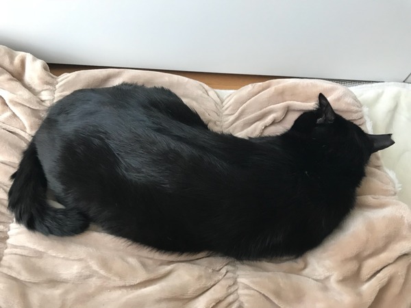 くねくね