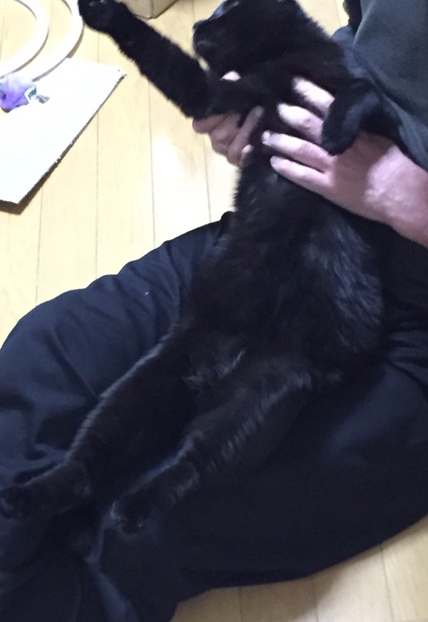 2015-12-03-21-32-41