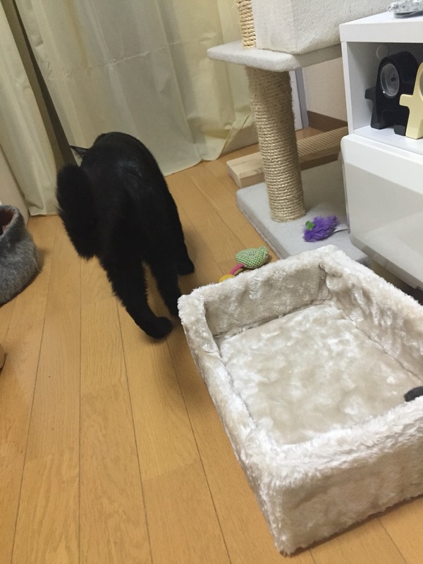 興味なし