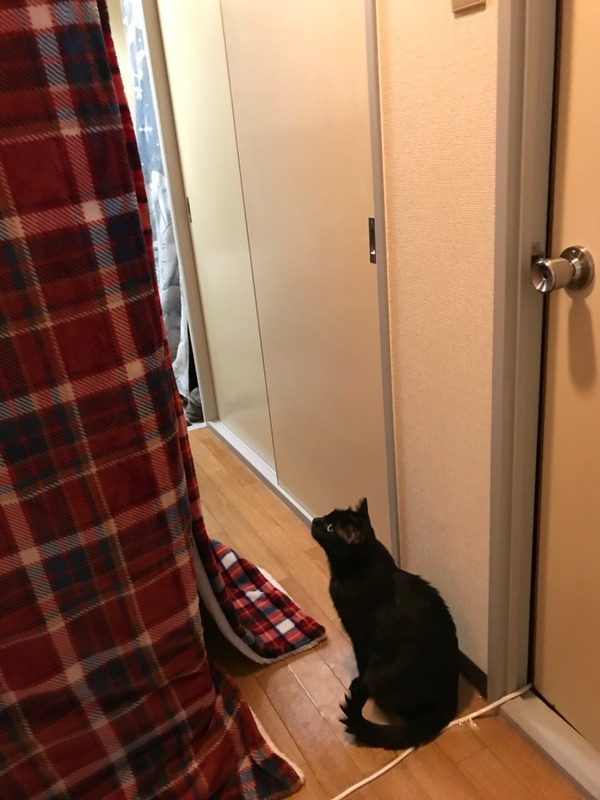2017-11-24-19-08-34