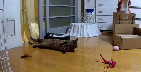 ころんころん