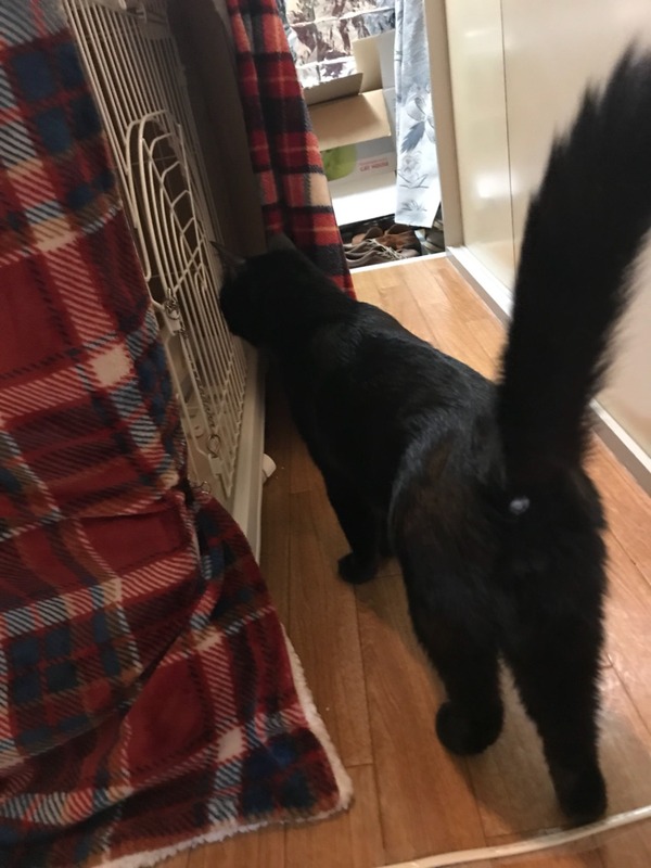 2017-11-29-19-14-22