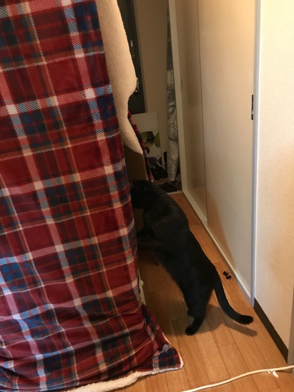 2017-11-25-08-18-11