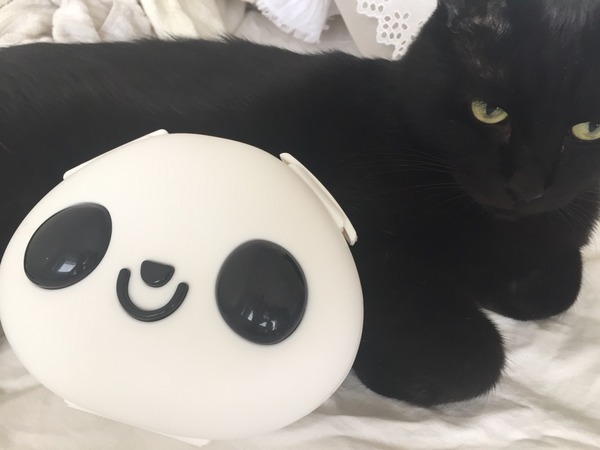 可愛い