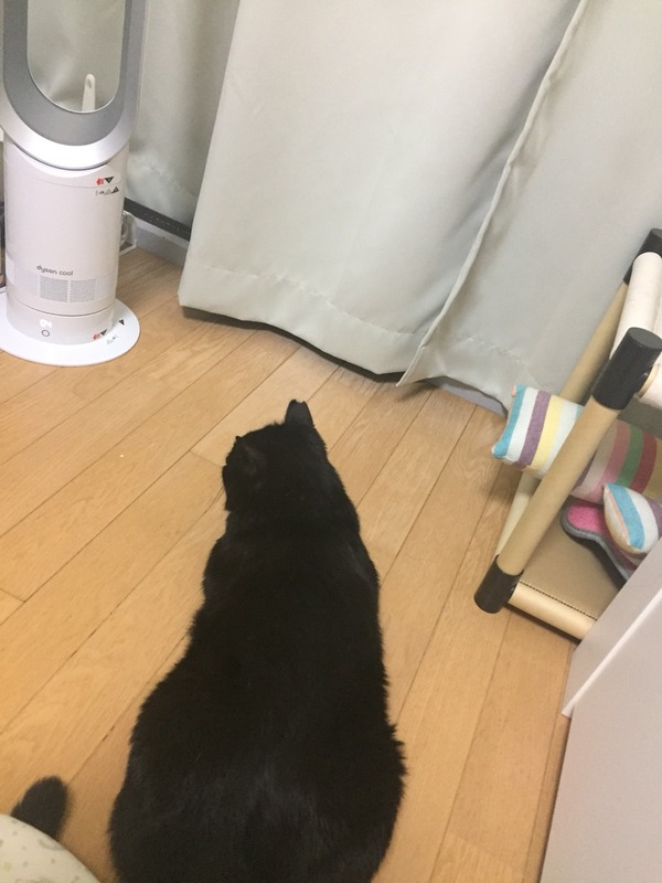 監視中