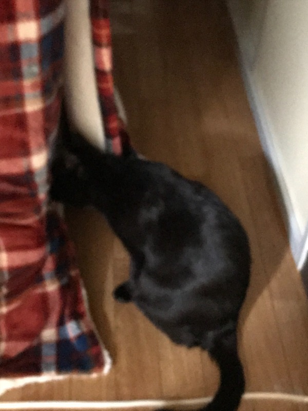 2017-11-26-08-49-32