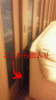 BlogPaint