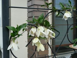 P1080275