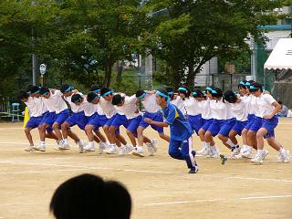 2fcdf659.jpg