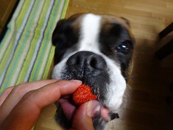 DSC00190