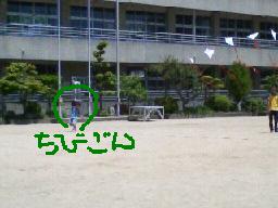 7fa2f831.jpg