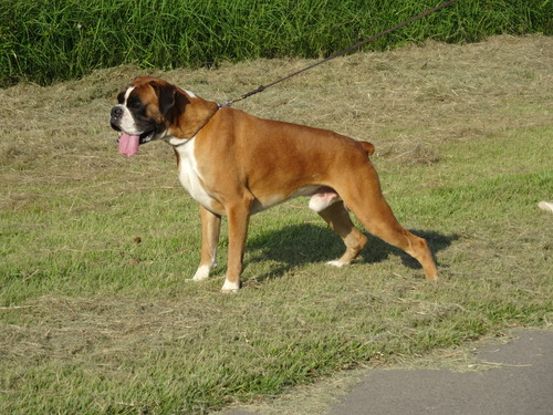 DSC05014