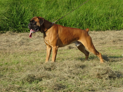 DSC05022