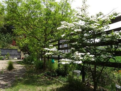 DSC01897