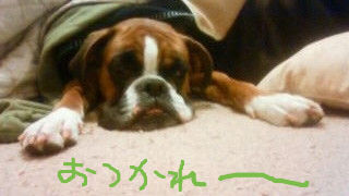 BlogPaint