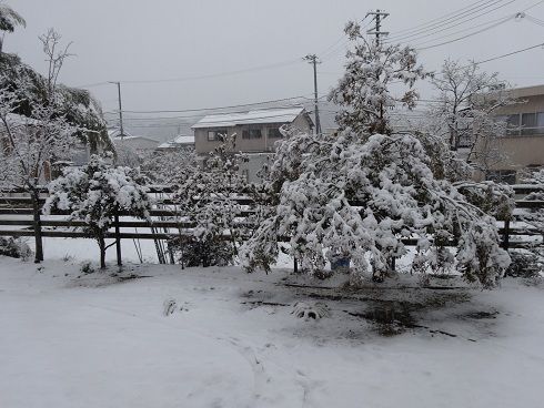 DSC01452