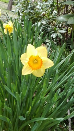 IMG_20170507_140051