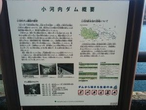 okutamako (4)