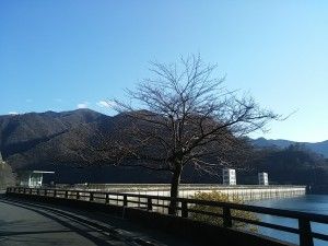 okutamako (6)
