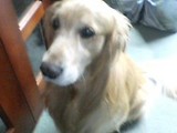 doagrand