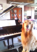 pianouegrand