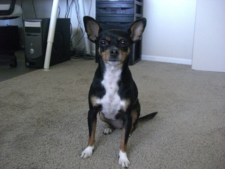Picture 008