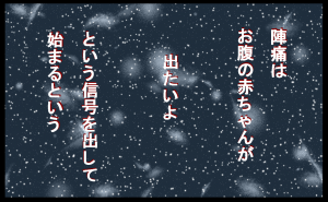 13071004.png