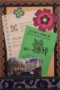 CIMG7289