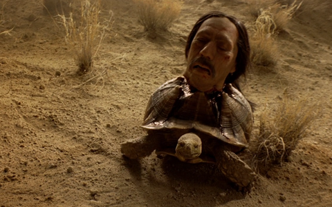 tortuga-640x400