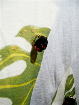 P1180032