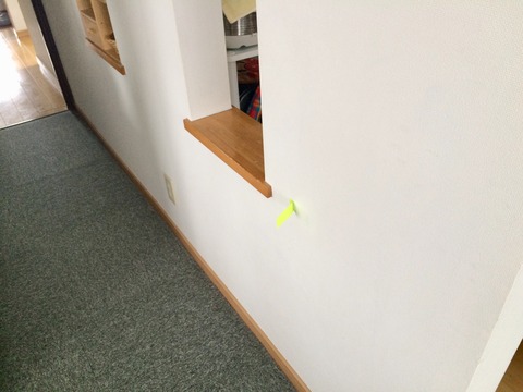 677BA2D3-AF5B-49B4-8581-D5410E6E1ACB