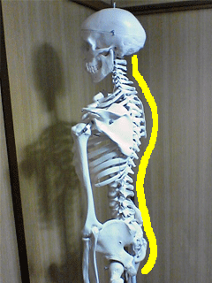 ����ʲ�-�ӻ���