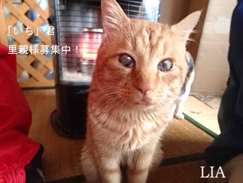 いち