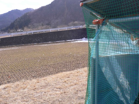 鵜住居川と仮設住宅周辺の清掃（9）