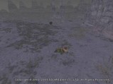 ブブリム