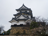 彦根城