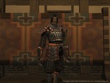 侍