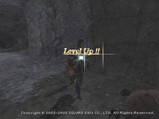 lvup