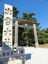 331