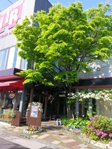 20150501_081128