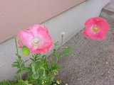 20150429_145949